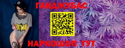 гидра Гатчина