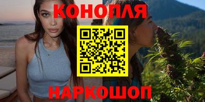 гидра Гатчина