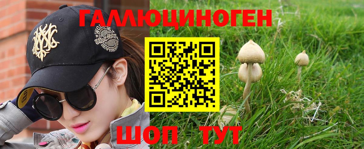 Галлюциногенные грибы MAGIC MUSHROOMS Северобайкальск