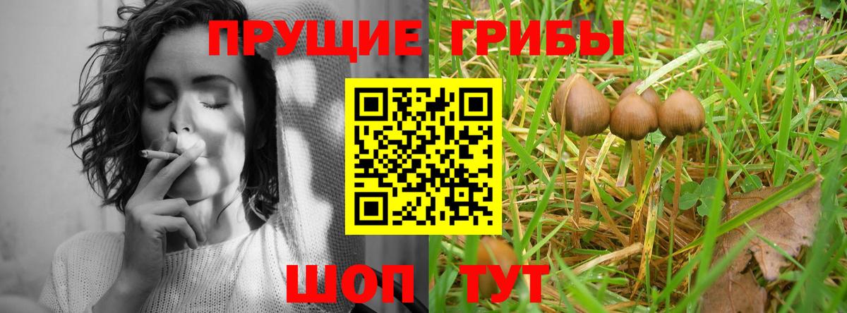 Псилоцибиновые грибы Cubensis  Галлюциногенные грибы MAGIC MUSHROOMS  Северобайкальск  Вход с VPN 